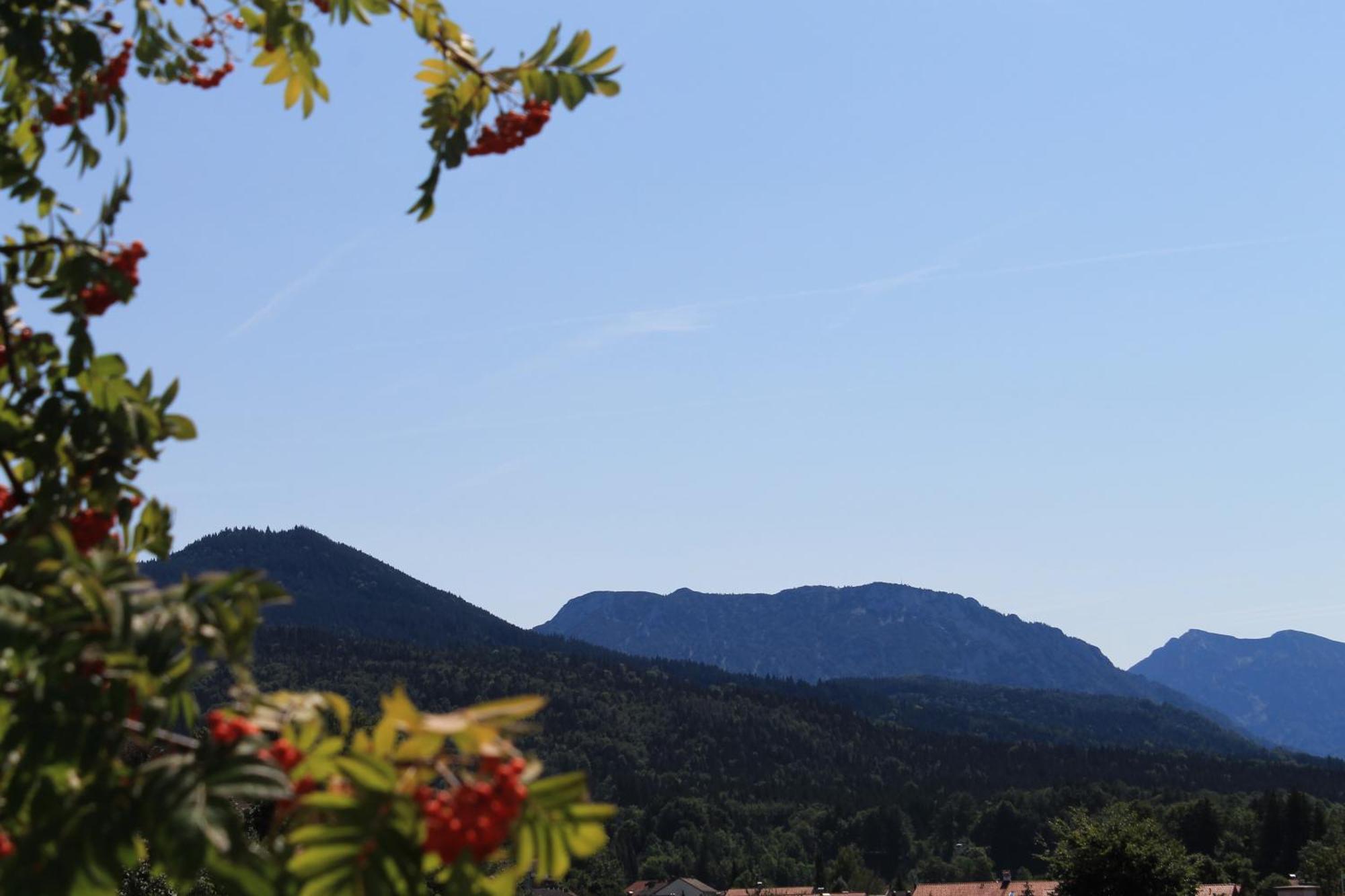 Hotel Garni Edelweiss Siegsdorf Luaran gambar