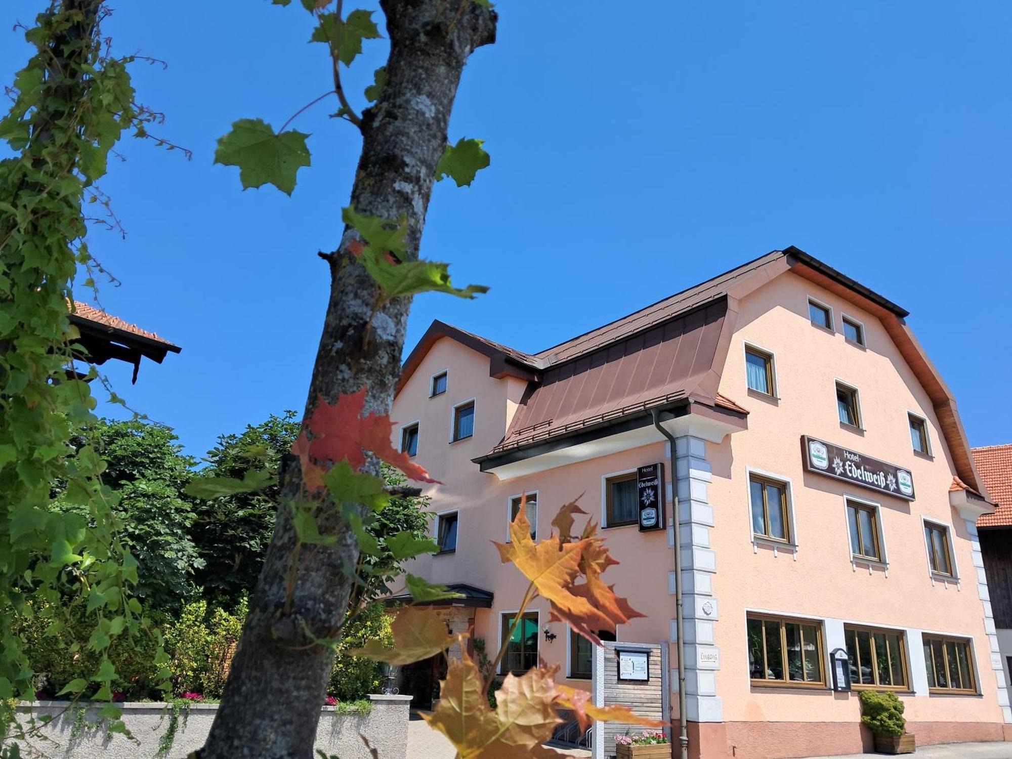 Hotel Garni Edelweiss Siegsdorf Luaran gambar